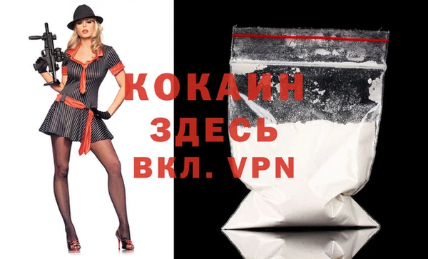 молекула духа Бородино