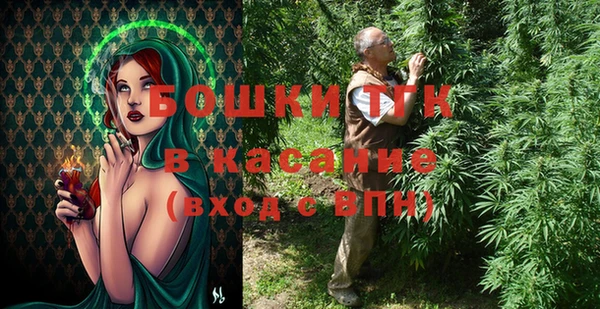 молекула духа Бородино
