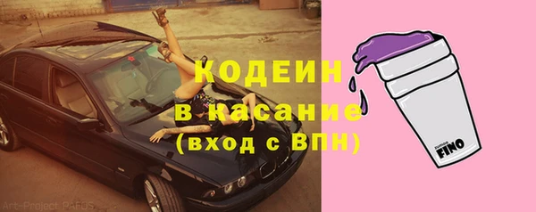 молекула духа Бородино