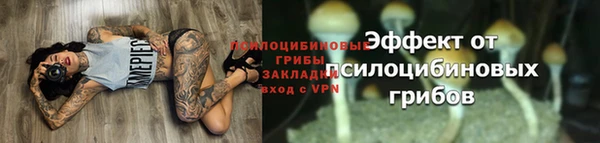 молекула духа Бородино