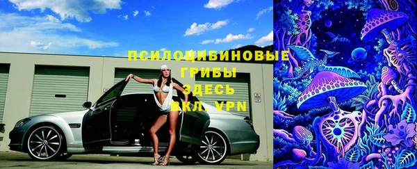 молекула духа Бородино