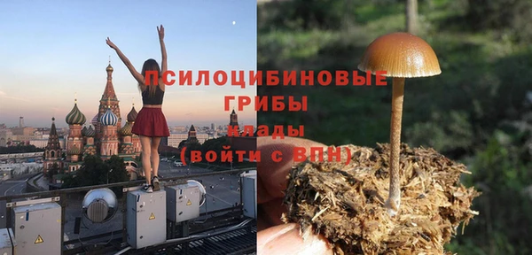 дурь Бронницы