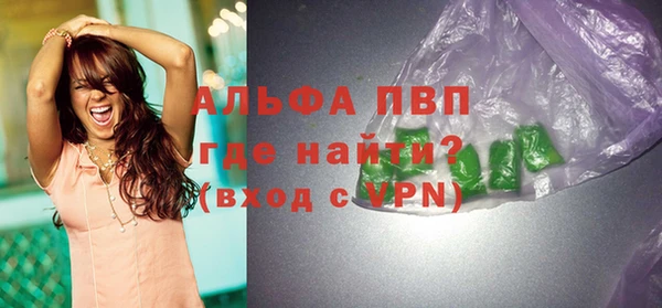 молекула духа Бородино
