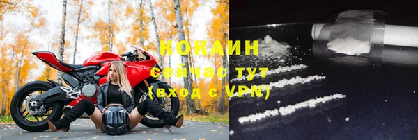 дурь Бронницы