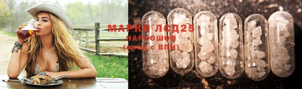 молекула духа Бородино