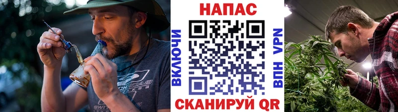 Марихуана гибрид  OMG ссылки  Хасавюрт 